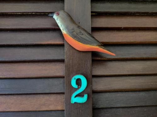 Outdoor Pictures 12