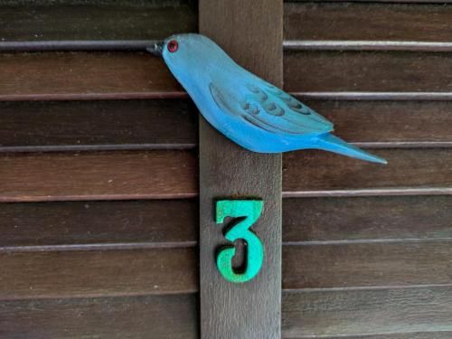 Outdoor Pictures 15