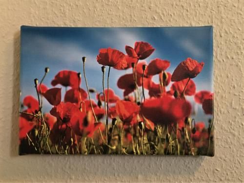 Outdoor Pictures 6