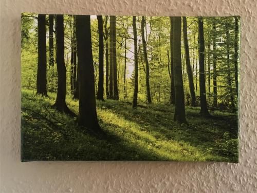 Outdoor Pictures 7
