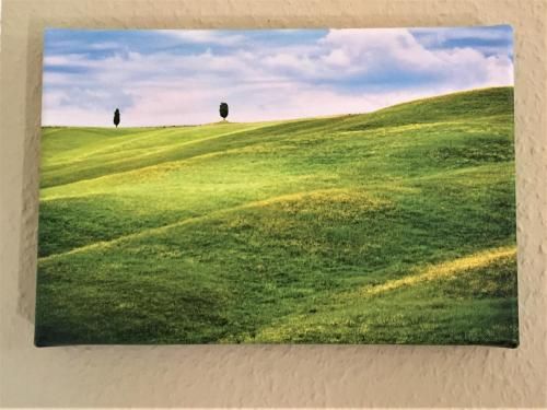 Outdoor Pictures 8