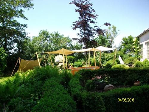 Outdoor Pictures 22