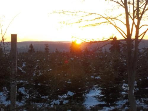 Outdoor Pictures 6