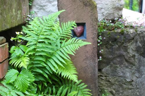 Outdoor Pictures 14