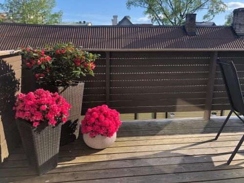 Outdoor Pictures 8