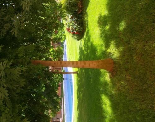 Outdoor Pictures 4