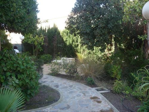 Outdoor Pictures 16