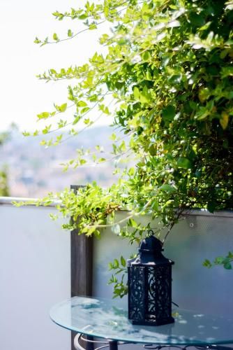 Outdoor Pictures 19