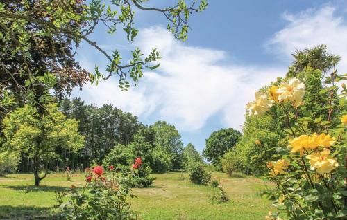 Outdoor Pictures 24
