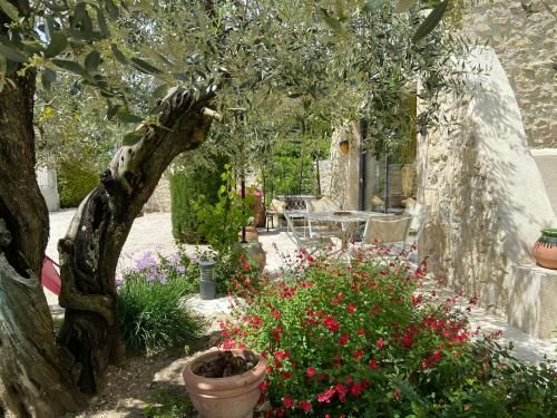 Outdoor Pictures 9