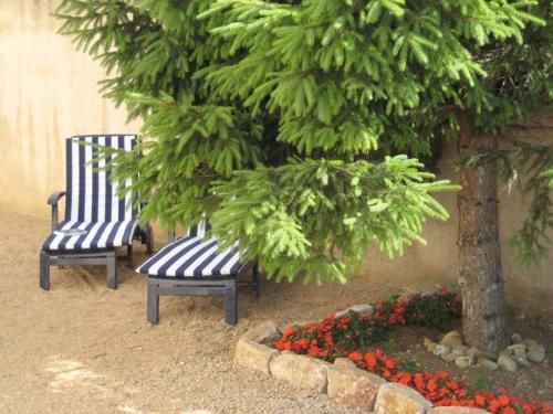 Outdoor Pictures 22