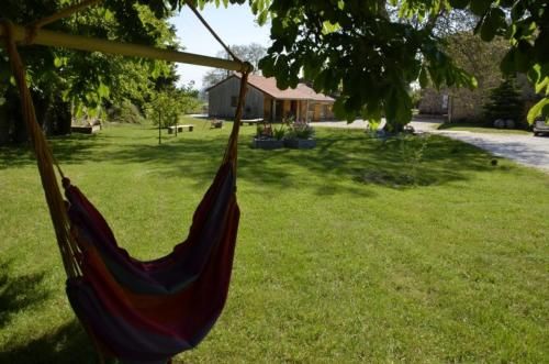 Outdoor Pictures 1