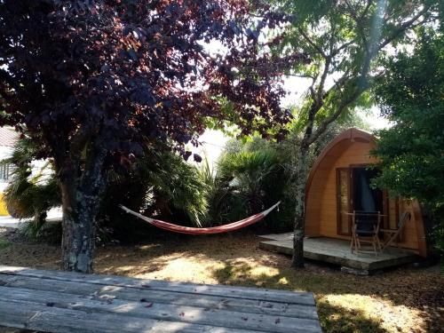 Outdoor Pictures 11