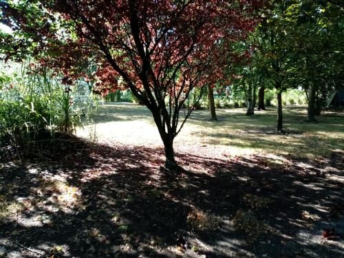 Outdoor Pictures 15