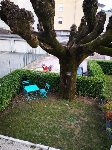 Outdoor Pictures 3