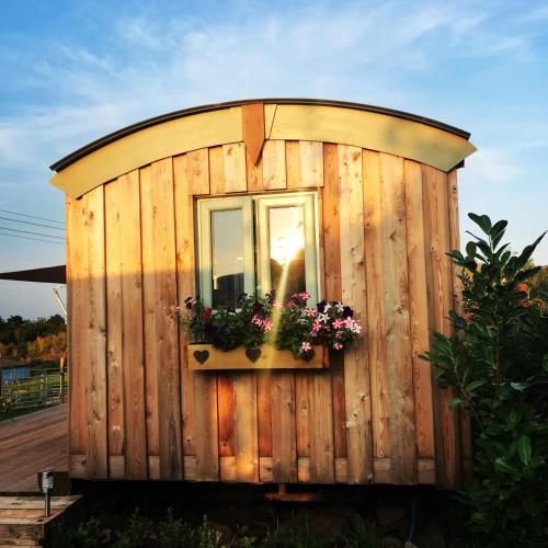 Willowbank shepherds hut