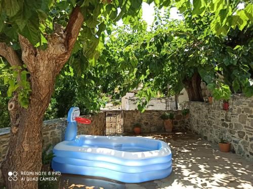 Outdoor Pictures 24