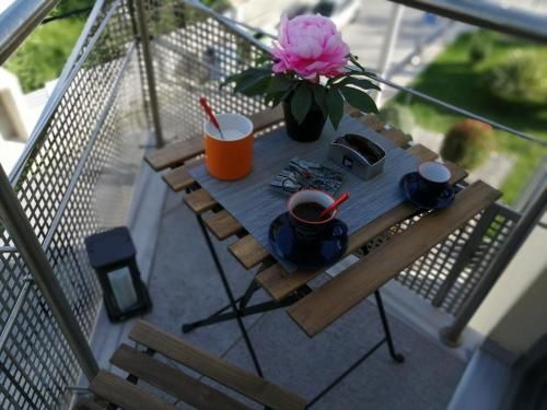 Outdoor Pictures 6