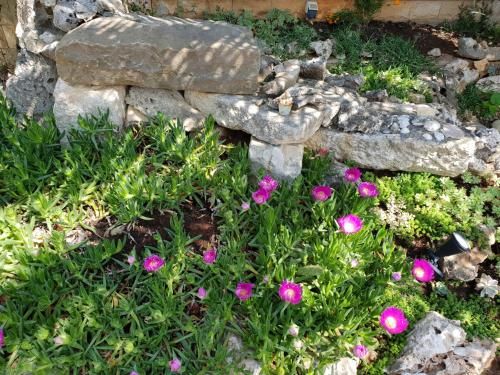 Outdoor Pictures 11