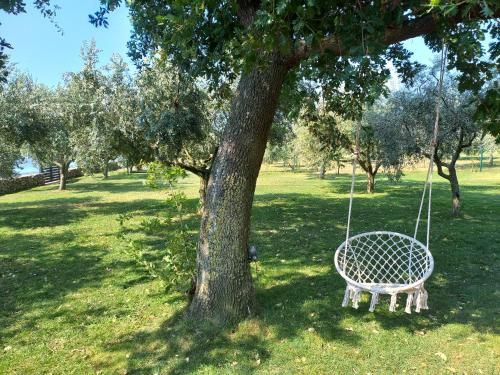 Outdoor Pictures 7