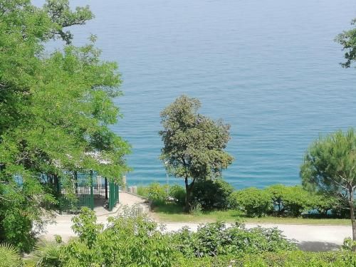 Outdoor Pictures 9