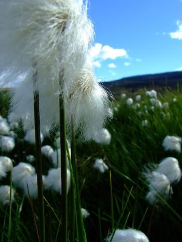 Outdoor Pictures 6