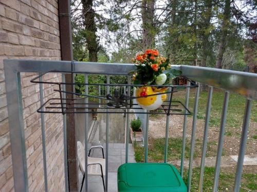 Outdoor Pictures 23