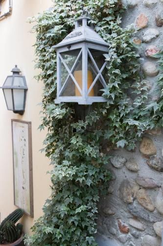 Outdoor Pictures 8