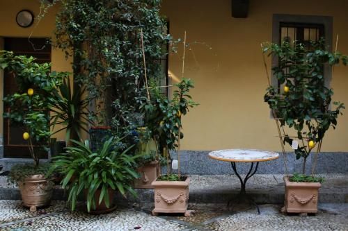 Outdoor Pictures 10