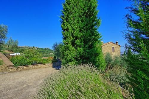 Outdoor Pictures 11