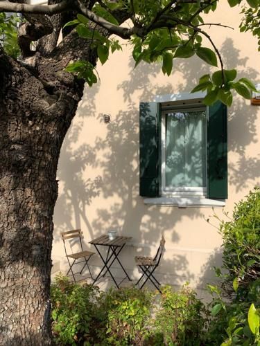 Outdoor Pictures 22