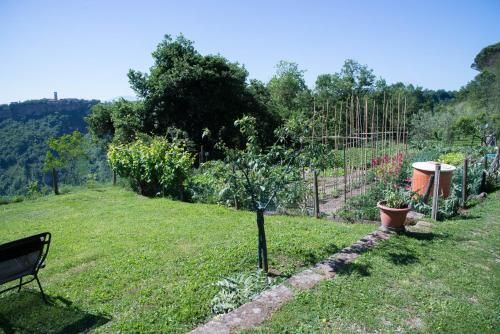 Outdoor Pictures 21