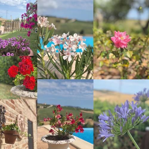 Outdoor Pictures 2