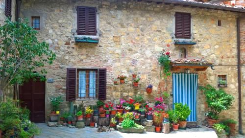 Outdoor Pictures 24
