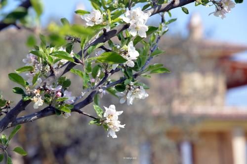 Outdoor Pictures 19