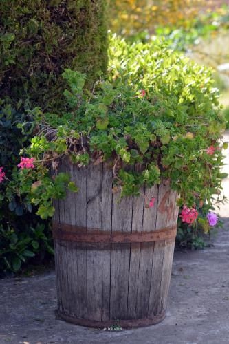 Outdoor Pictures 21