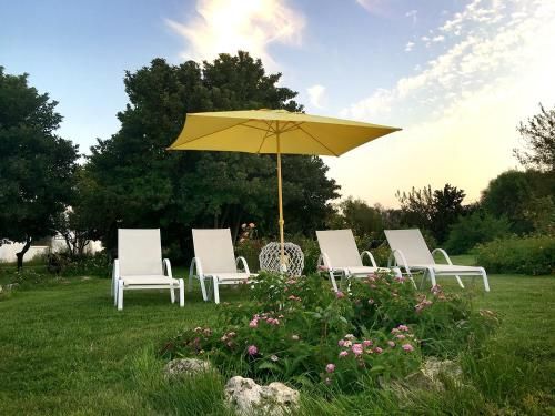 Outdoor Pictures 24
