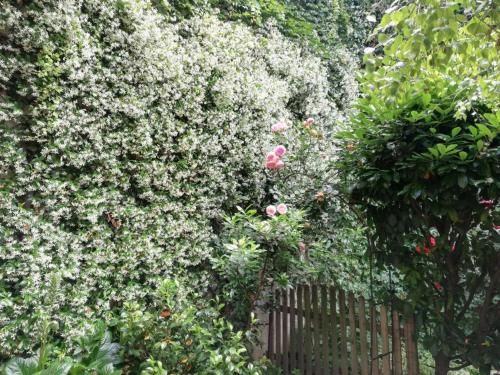 Outdoor Pictures 16