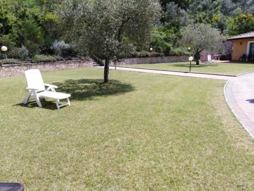 Outdoor Pictures 6