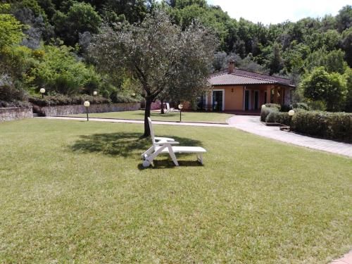 Outdoor Pictures 7