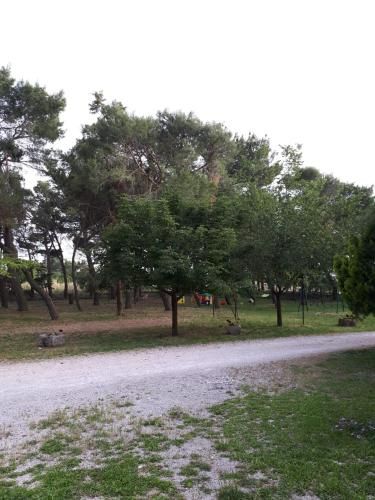 Outdoor Pictures 7
