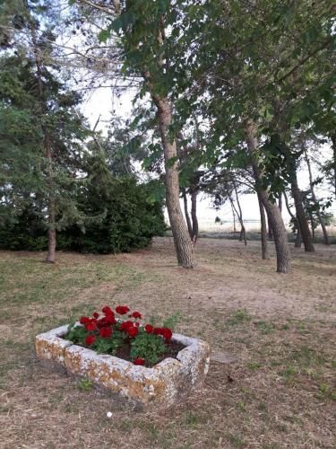 Outdoor Pictures 11