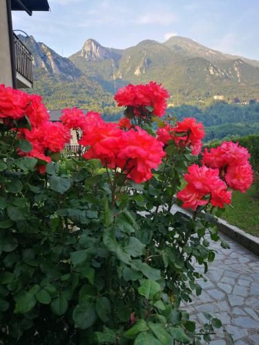 Outdoor Pictures 7