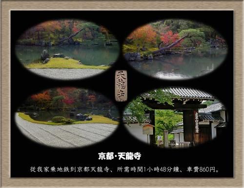 Outdoor Pictures 14