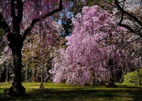 Outdoor Pictures 23