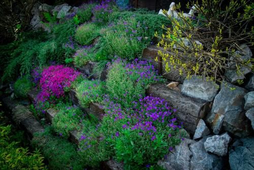 Outdoor Pictures 20