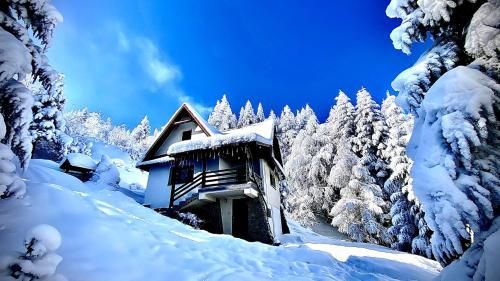 Outdoor Pictures 21