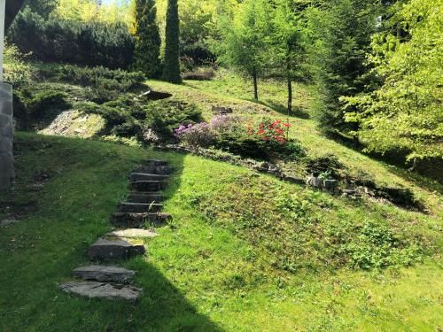 Outdoor Pictures 10
