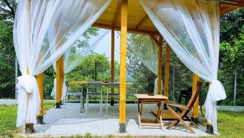 Outdoor Pictures 24
