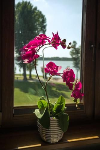 Outdoor Pictures 11